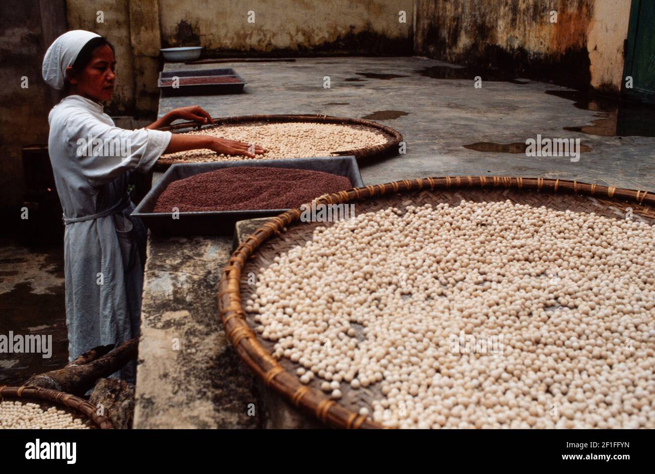 Fabrication de plantes médicinales, Ho Chi Minh ville, Vietnam, juin 1980 Banque D'Images