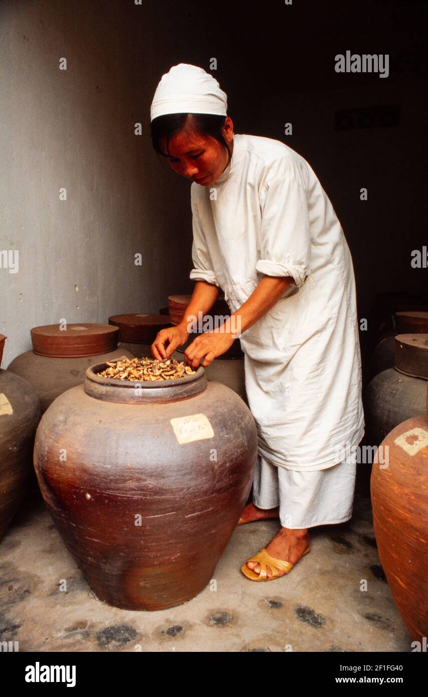 Herbes séchées crues pour la fabrication de plantes médicinales, Ho Chi Minh ville, Vietnam, juin 1980 Banque D'Images