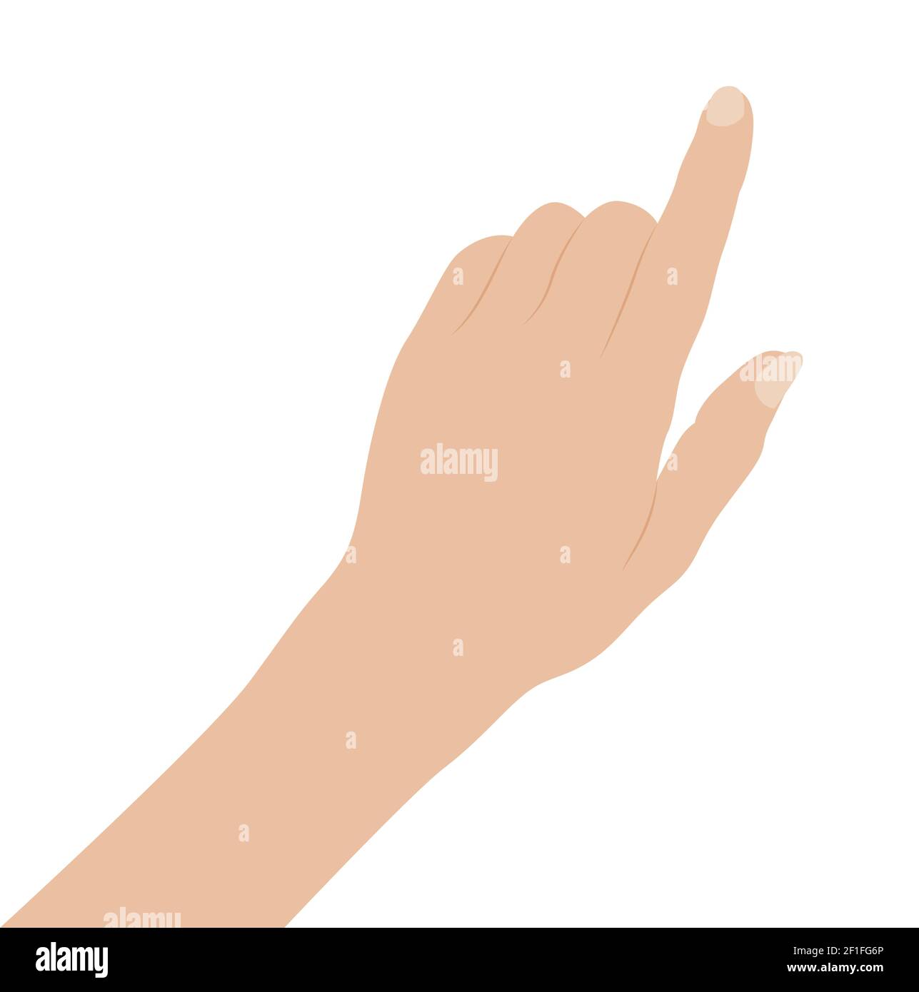 Femme main sur fond blanc, conception plate illustration vectorielle gros plan Illustration de Vecteur