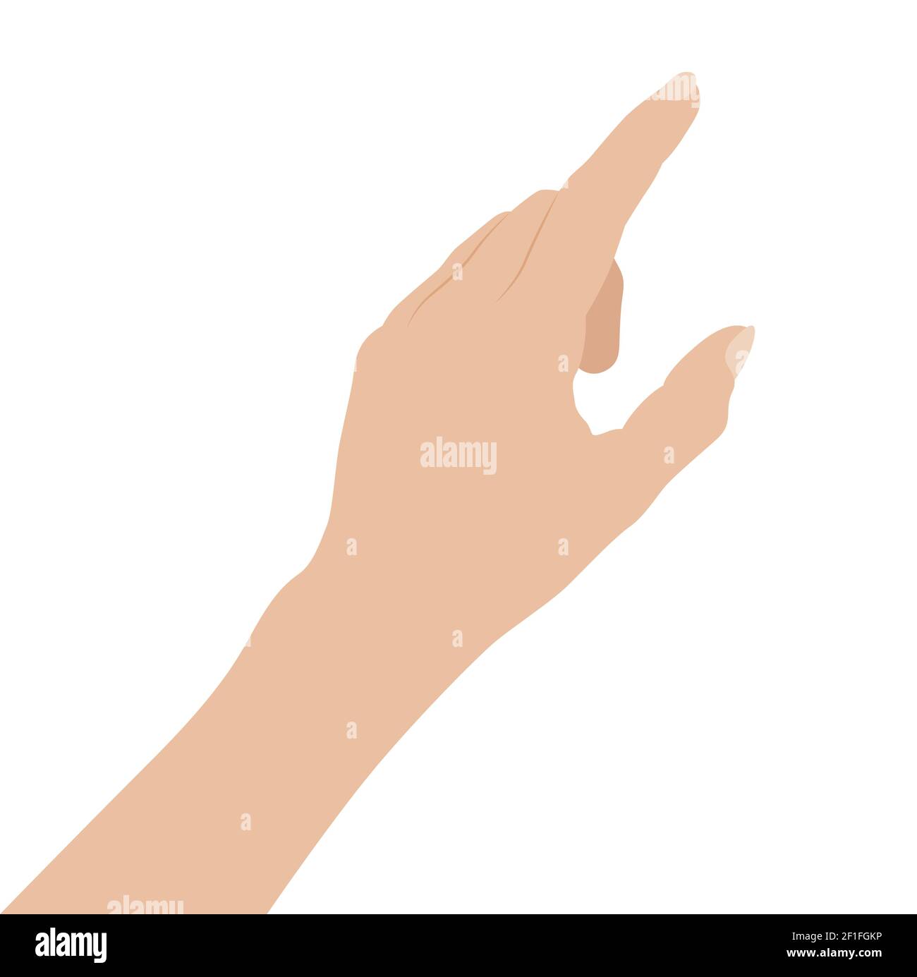 Femme main sur fond blanc, conception plate illustration vectorielle gros plan Illustration de Vecteur