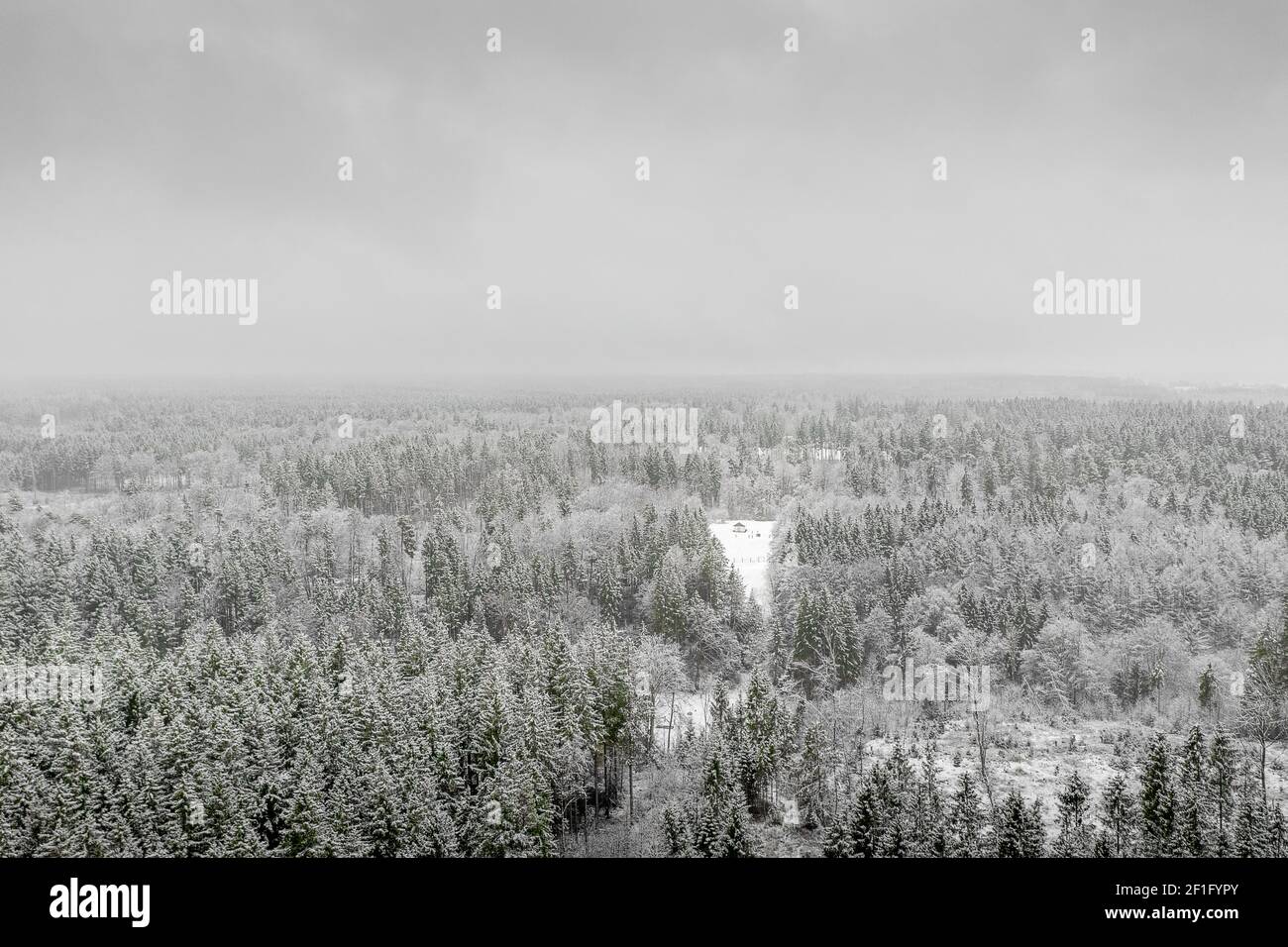 AÉRIEN: Vol au-dessus de cimes enneigées gelées vers la campagne isolé petite maison au milieu d'une forêt enneigée en vue panoramique. Banque D'Images