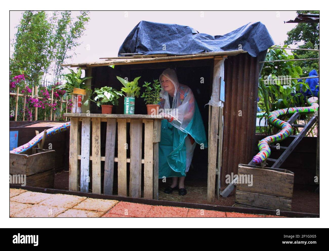 Le premier jour du spectacle de fleurs de Hampton court.....se cacher de la pluie donne à ce visiteur l'occasion d'inspecter le jardin des lieux de commerce de Christian Aid, un favori parmi les visiteurs.pic David Sandison 2/7/2002 Banque D'Images