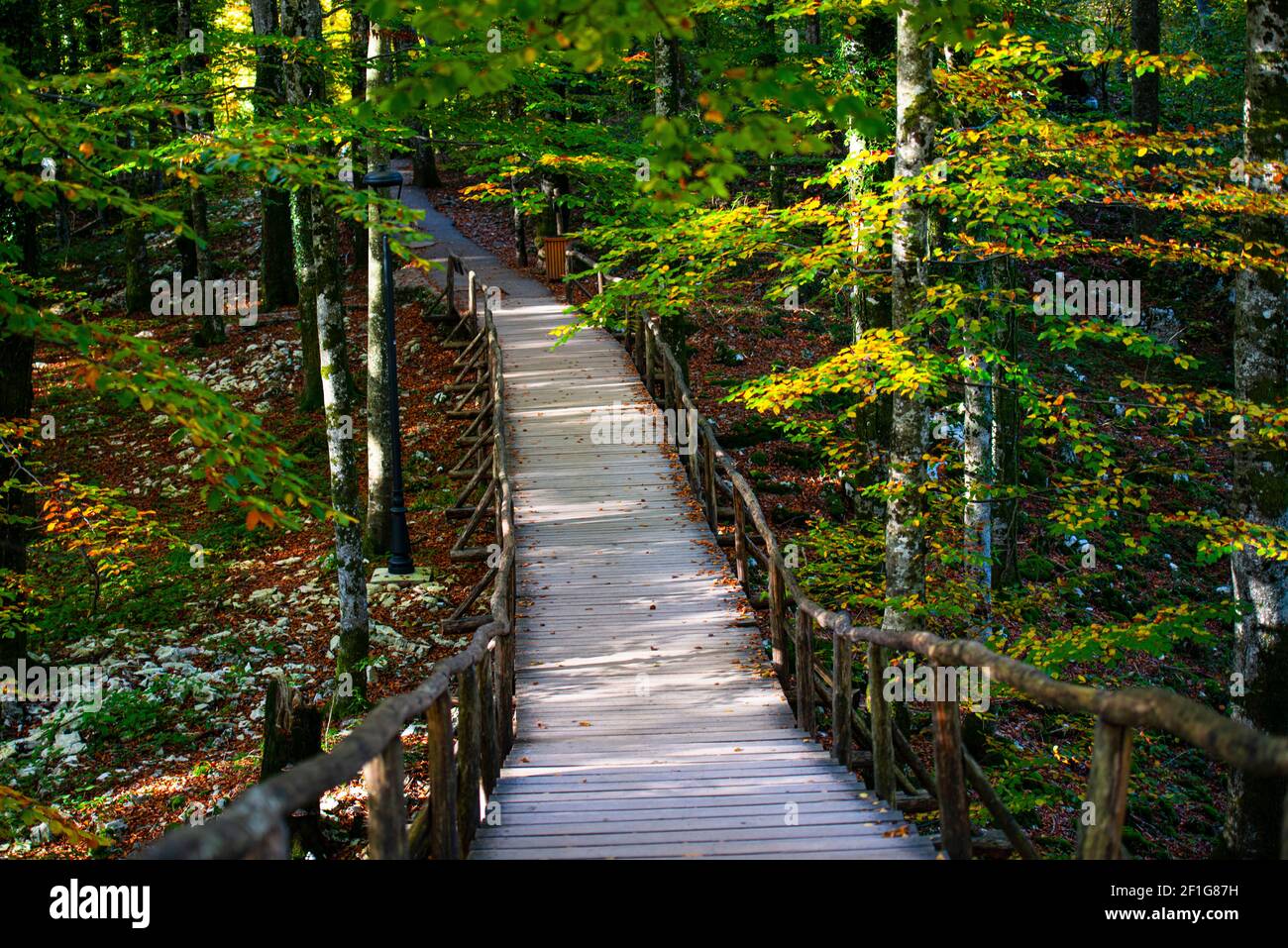 Paysage d'automne dans le parc de Plitvice Jezera Banque D'Images