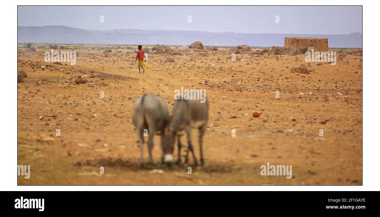 CRISE DE LA FAIM EN MAURITANIE Voir l'histoire McCarthy Le village de Glaibatt Nour, frappé par la faim, dans la sécheresse d'Aftout Région de Mauritanie photo par David Sandison Banque D'Images