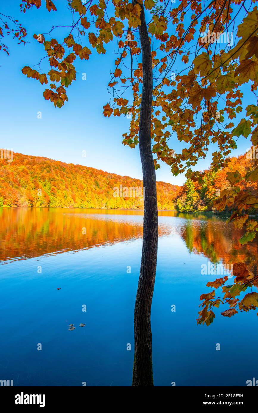 Magnifique paysage d'automne dans le parc de Plitvice Jezera, Croatie Banque D'Images