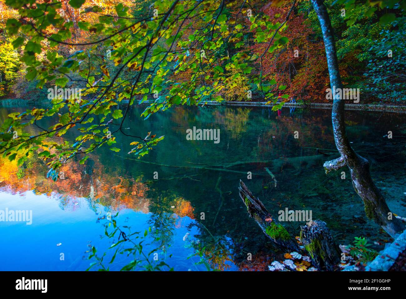 Magnifique paysage d'automne dans le parc de Plitvice Jezera, Croatie Banque D'Images