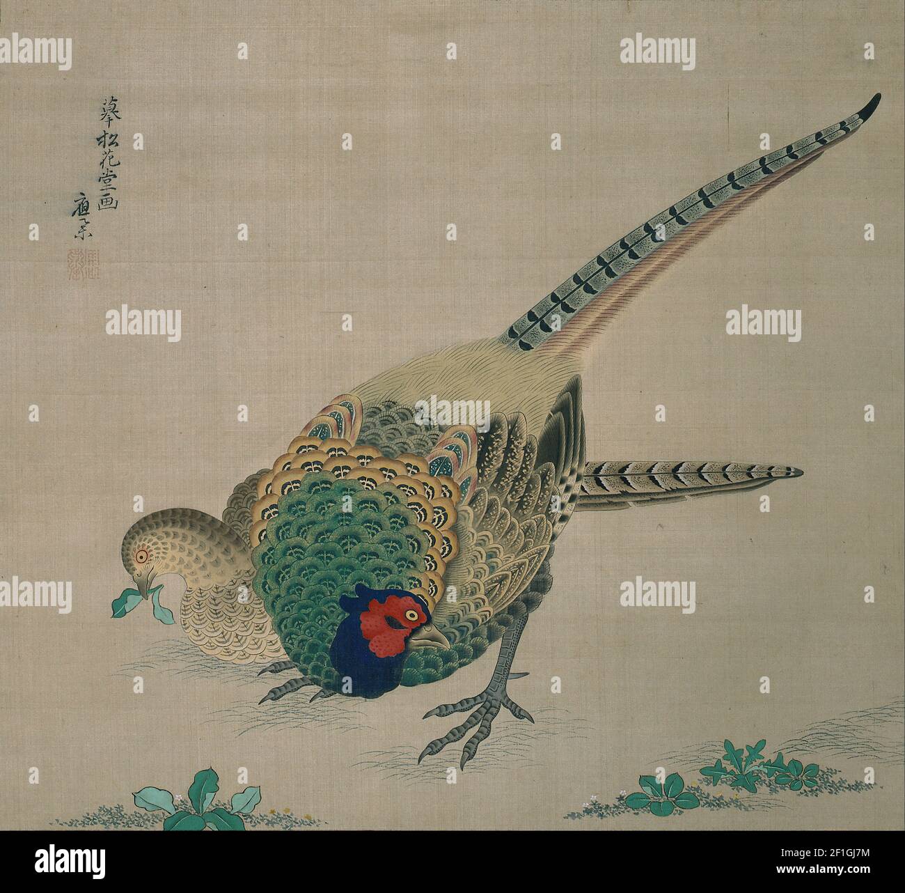 Maruyama Okyo - Hanging Scroll (paire de faisans) Banque D'Images