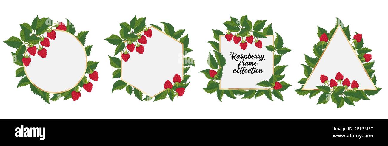 Cadre framboise. Ensemble de cadres dorés avec branches de framboises, baies et feuilles. Éléments pour le design de félicitations, invitation, carte, bannière, mer Illustration de Vecteur