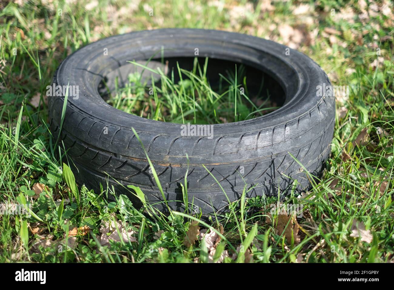 Vieux pneu de voiture en caoutchouc usagé jeté sur l'écosystème forestier brut, environnemental pollution industrielle Banque D'Images