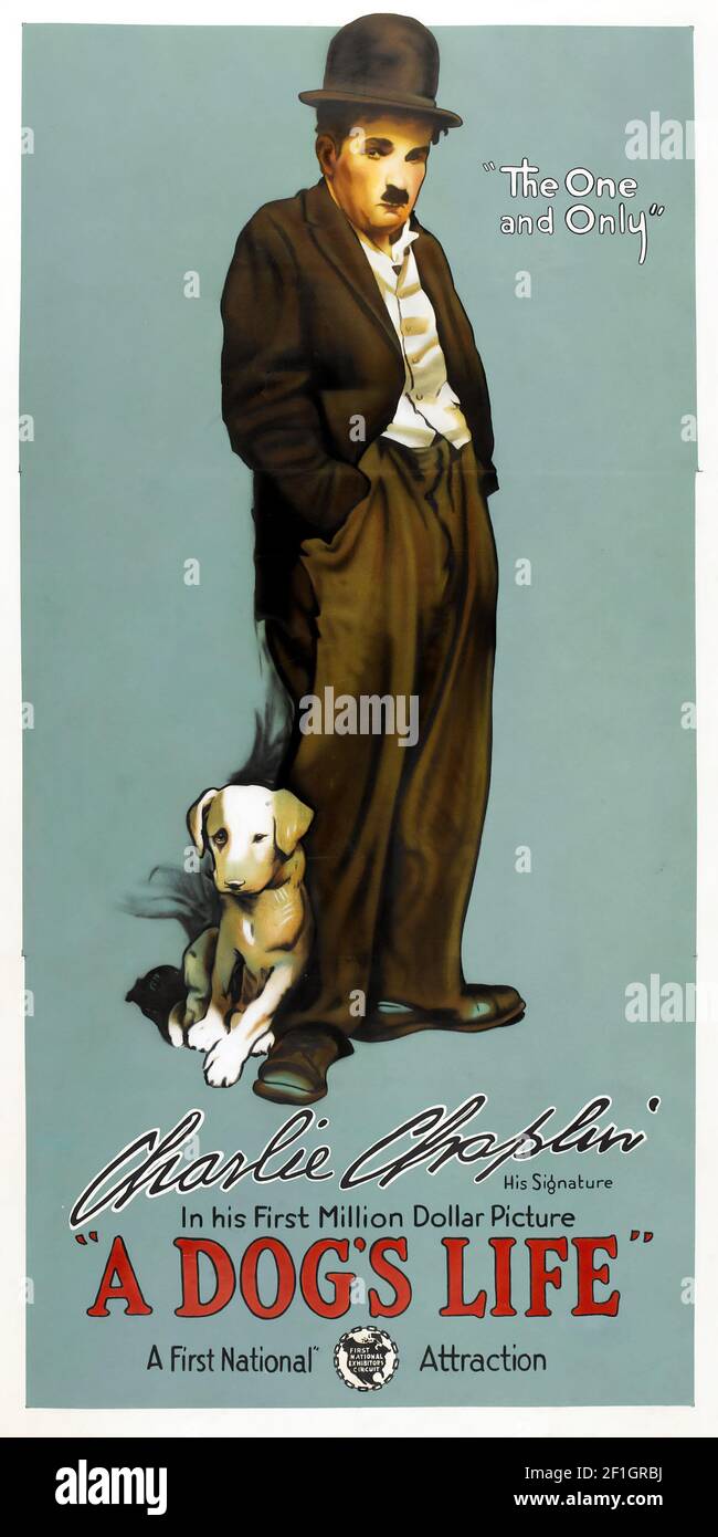 POSTER DE FILM – A Dog's Life est un court-métrage muet américain de 1918 écrit, produit et réalisé par Charlie Chaplin. Banque D'Images