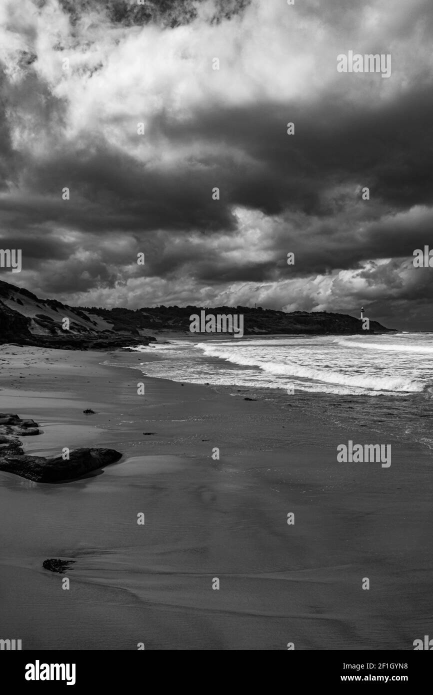 Une photo en niveaux de gris de la plage de sable, de la mer et du ciel nuageux en été - parfait pour le papier peint Banque D'Images