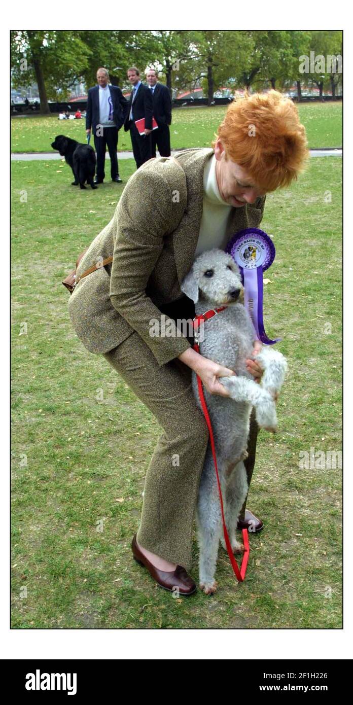 Westminster Dog of the Year.......troisième place Vera Baird QC MP et Zack The Bedlington Terrier.pic David Sandison 20/10/2003 Banque D'Images