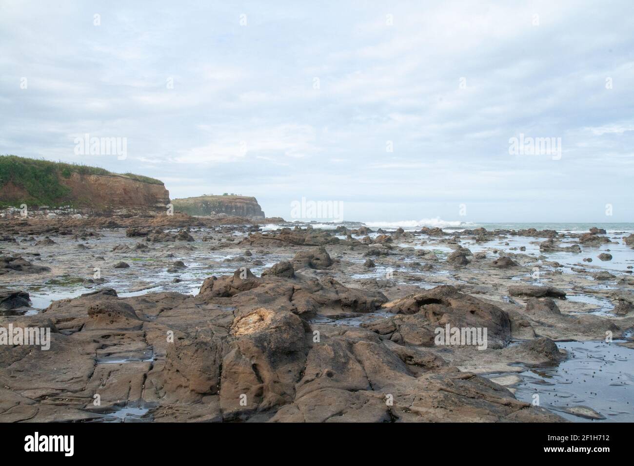 Les falaises de Curio Bay et la baie de Porpoise, site de troncs d'arbres préhistoriques fossilisés et de forêt pétrifiée sur la côte de l'océan Pacifique Sud Banque D'Images