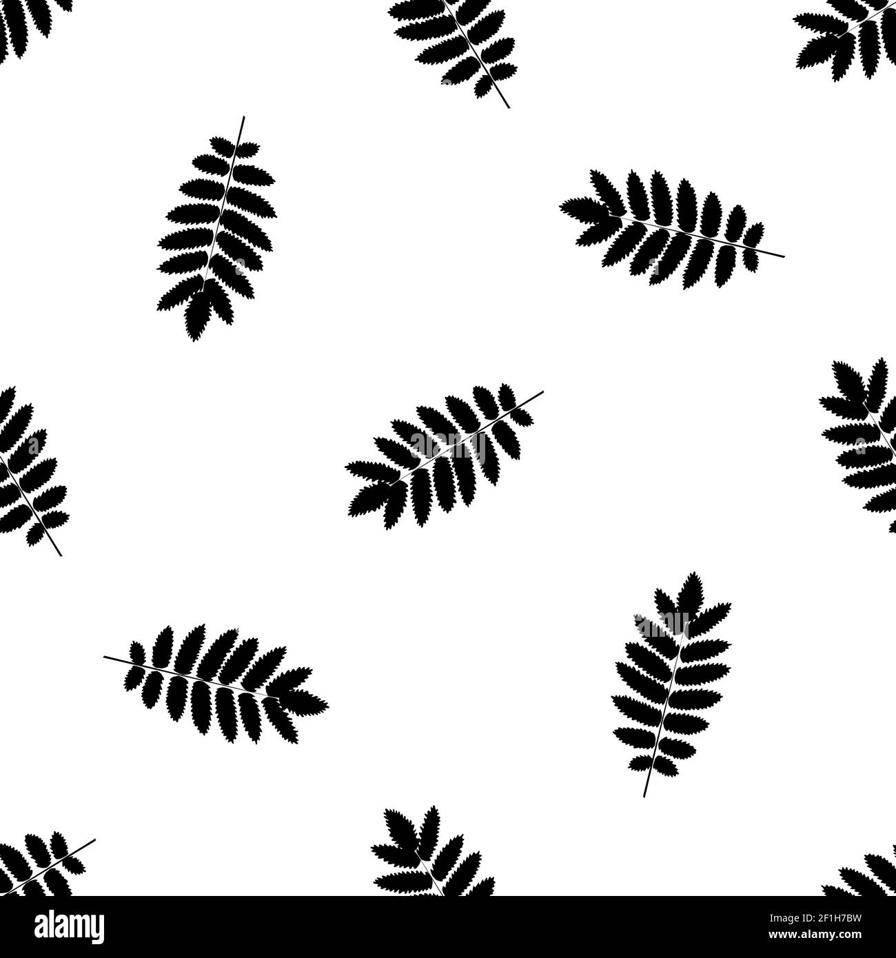 Motif sans couture avec feuilles de rowan d'automne. Banque D'Images