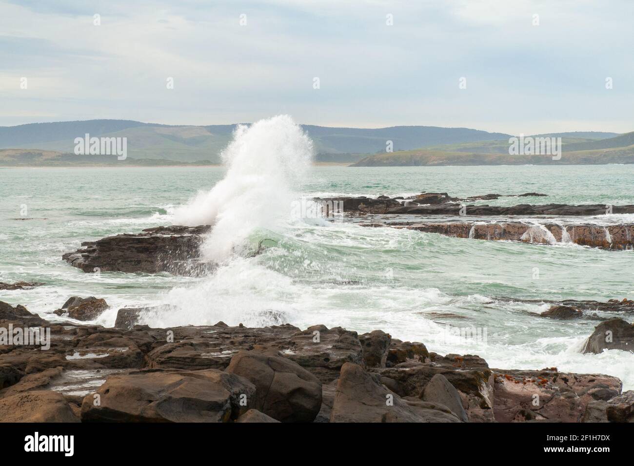 Vagues de l'océan Pacifique écrasant sur des rochers et éclaboussant l'eau autour de la baie de Porpoise en Nouvelle-Zélande, les Catlins Banque D'Images