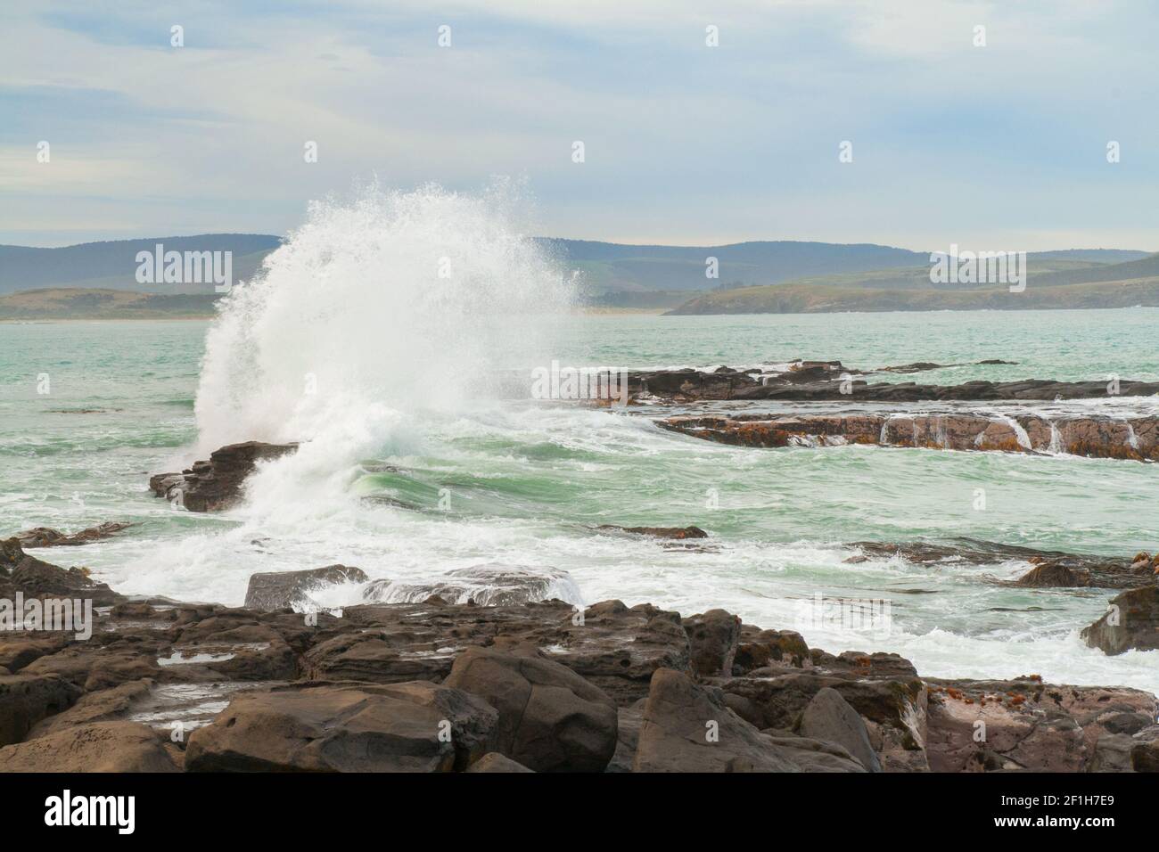 Vagues de l'océan Pacifique écrasant sur des rochers et éclaboussant l'eau autour de la baie de Porpoise en Nouvelle-Zélande, les Catlins Banque D'Images