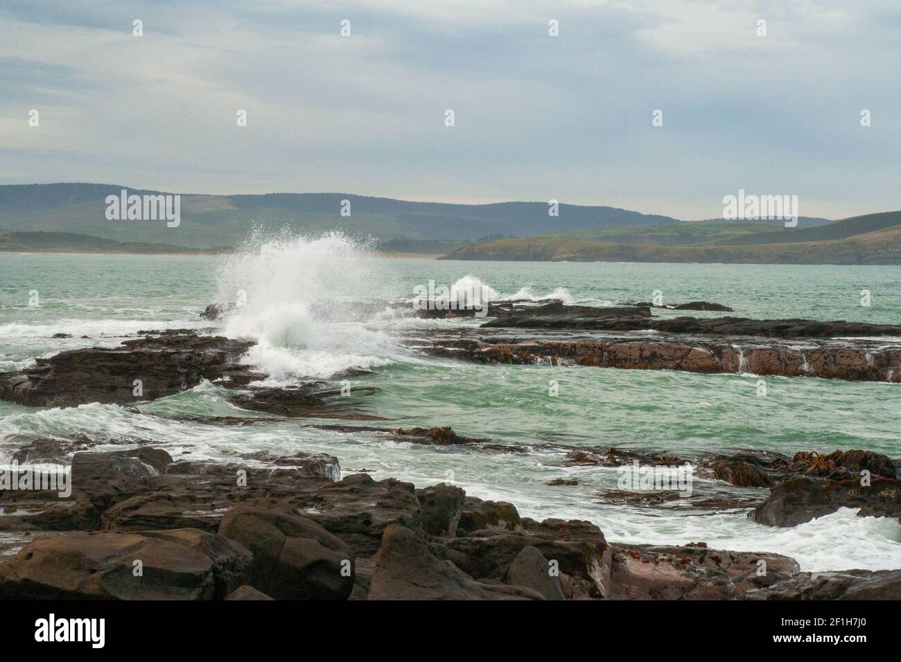 Des vagues sauvages de l'océan Pacifique s'écrasont sur des rochers à l'entrée de la baie de Porpoise, côte rugueuse du sud, Nouvelle-Zélande Banque D'Images