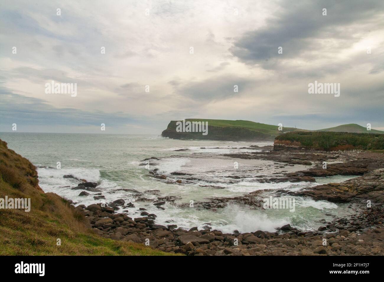 Le paysage côtier, la baie de Curio et la baie de Porpoise sont connus pour les anciens fossiles d'arbres façonnés dans les roches, la côte de Catlins, en Nouvelle-Zélande Banque D'Images