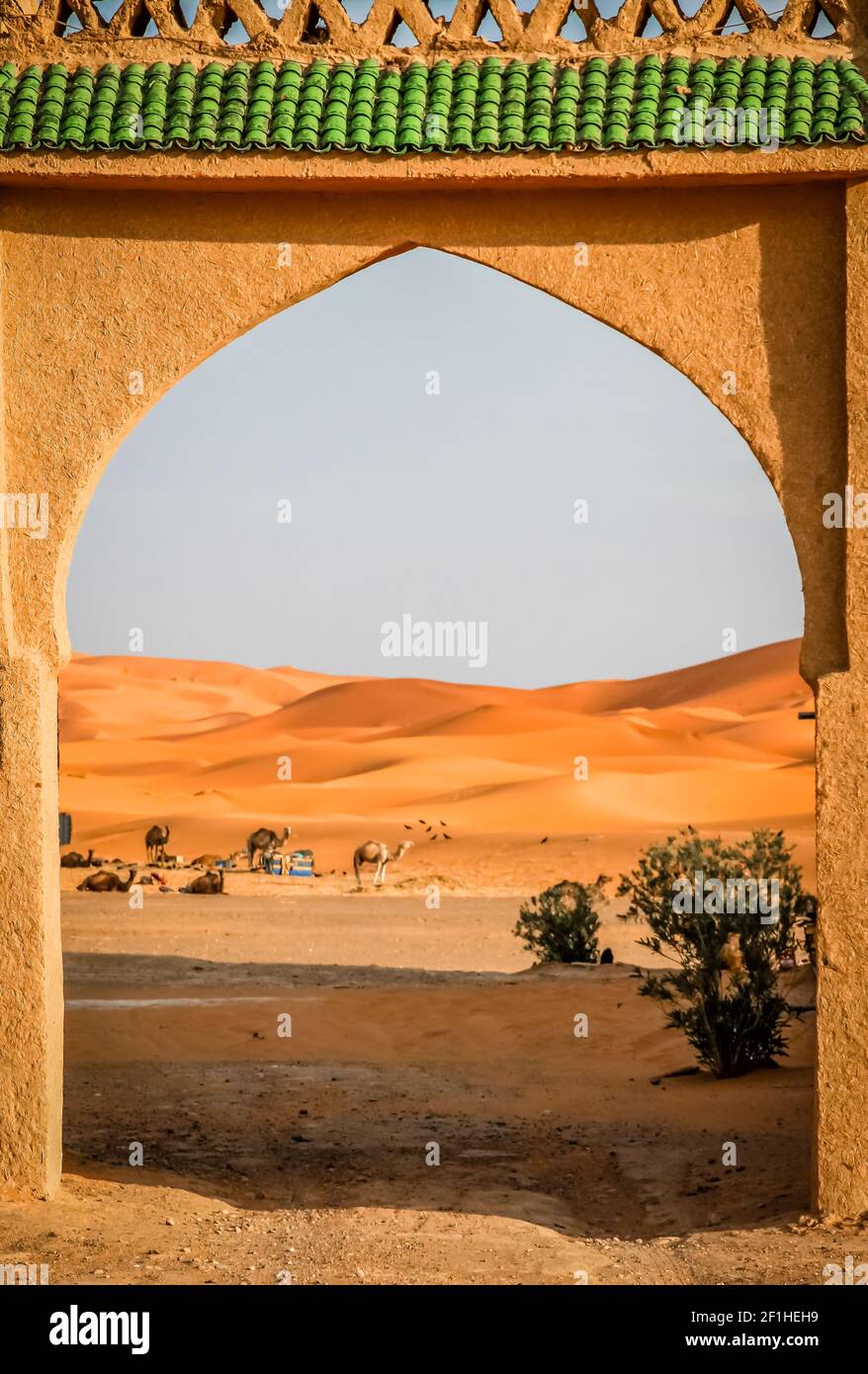 Passerelle vers les dunes Banque D'Images