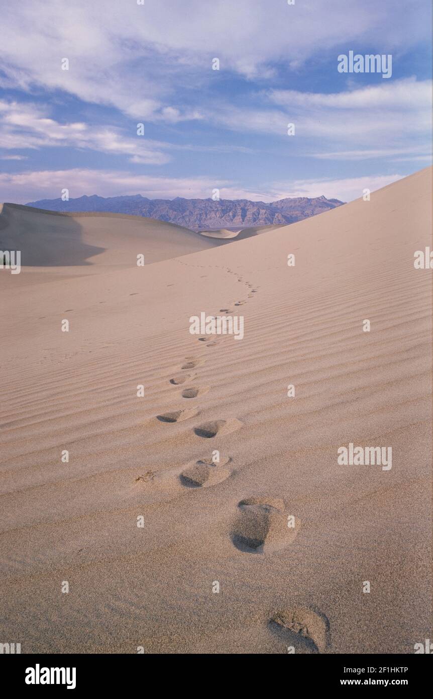 Les dunes de sable de la vallée de la mort Banque D'Images