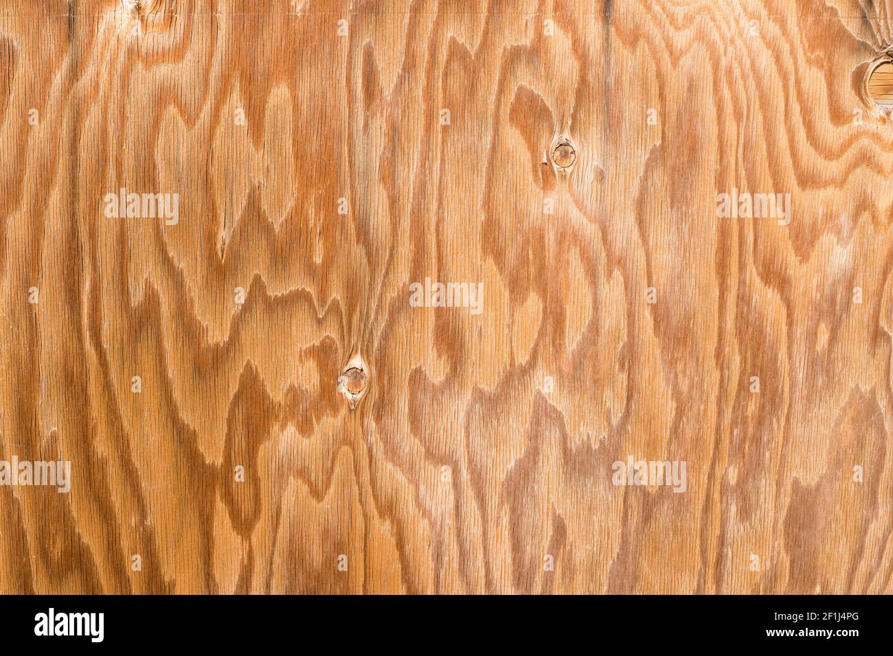 Fond de texture naturelle en bois massif. Mur en bois rustique décoratif. Banque D'Images