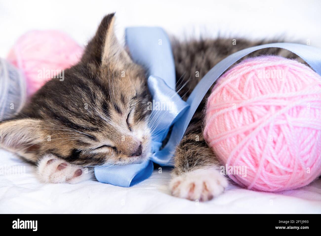 Chat mignon dormant avec des pelotes roses et grises de filet sur lit blanc Banque D'Images