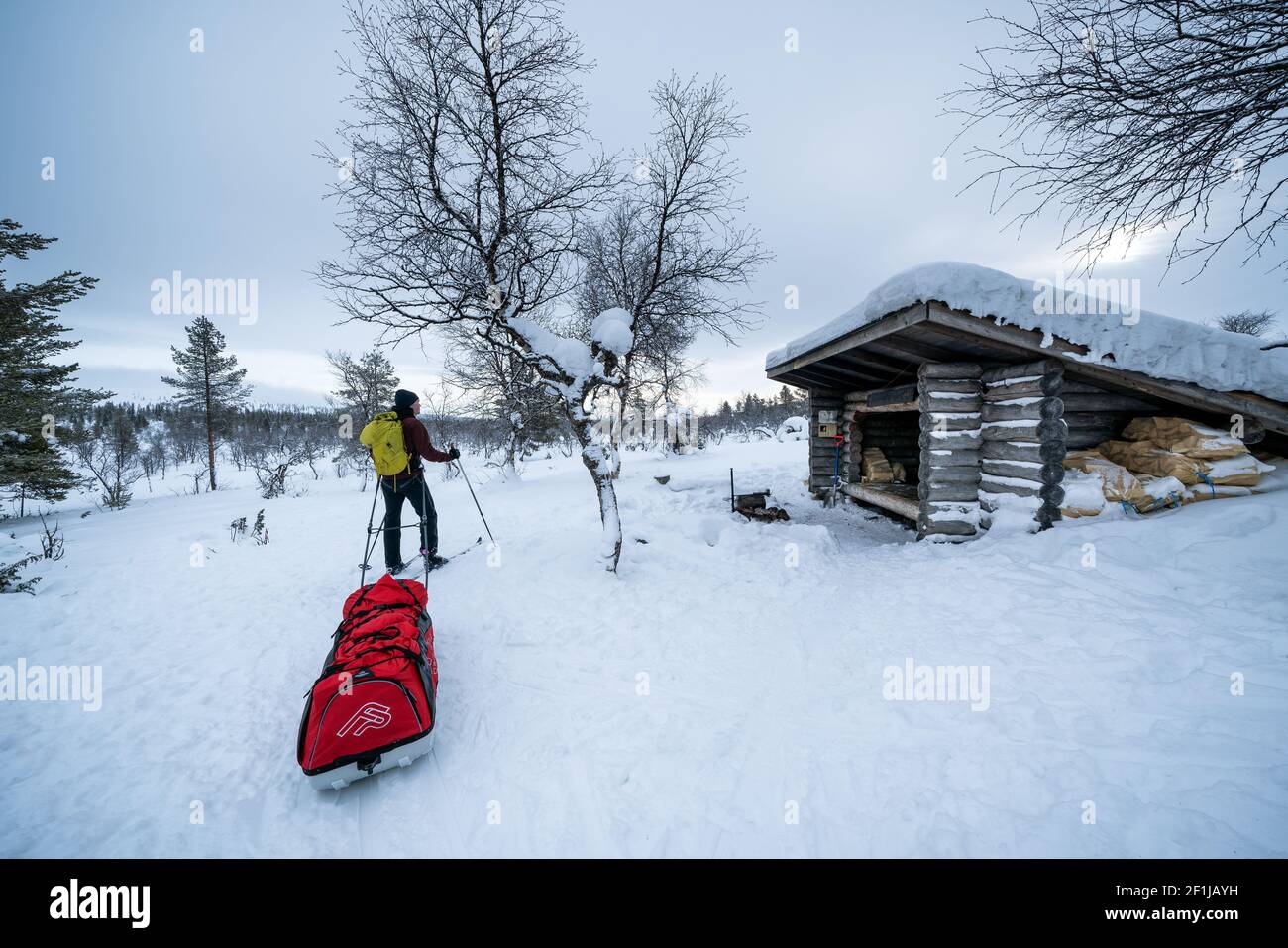 Ski de randonnée dans le parc national d'Urho Kekkonen, Sodankylä, Laponie, Finlande Banque D'Images