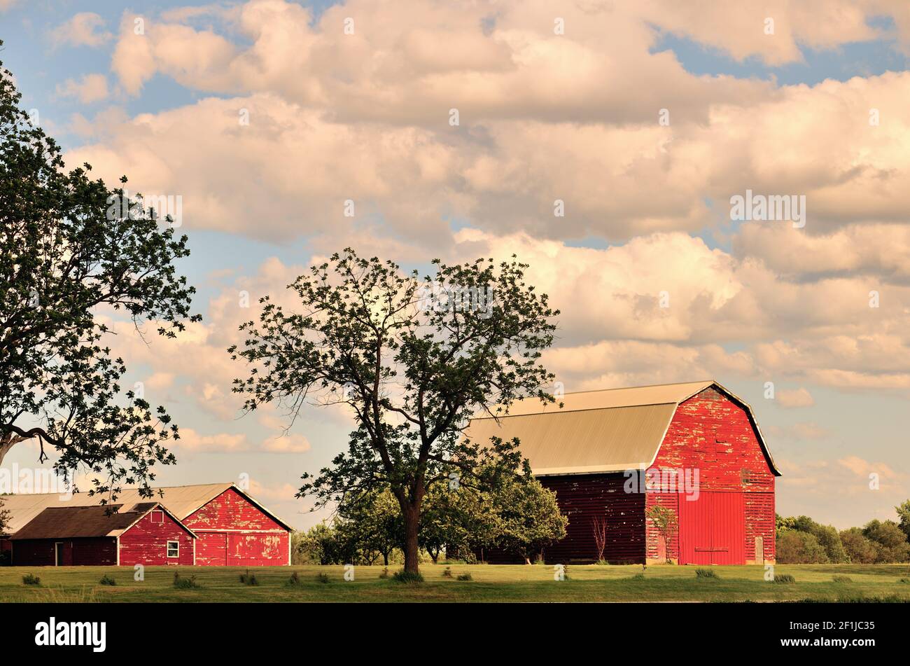 Burlington, Illinois, États-Unis. La grange rouge et les bâtiments de ferme offrent un cadre serein sur une ferme dans le nord-est de l'Illinois. Banque D'Images