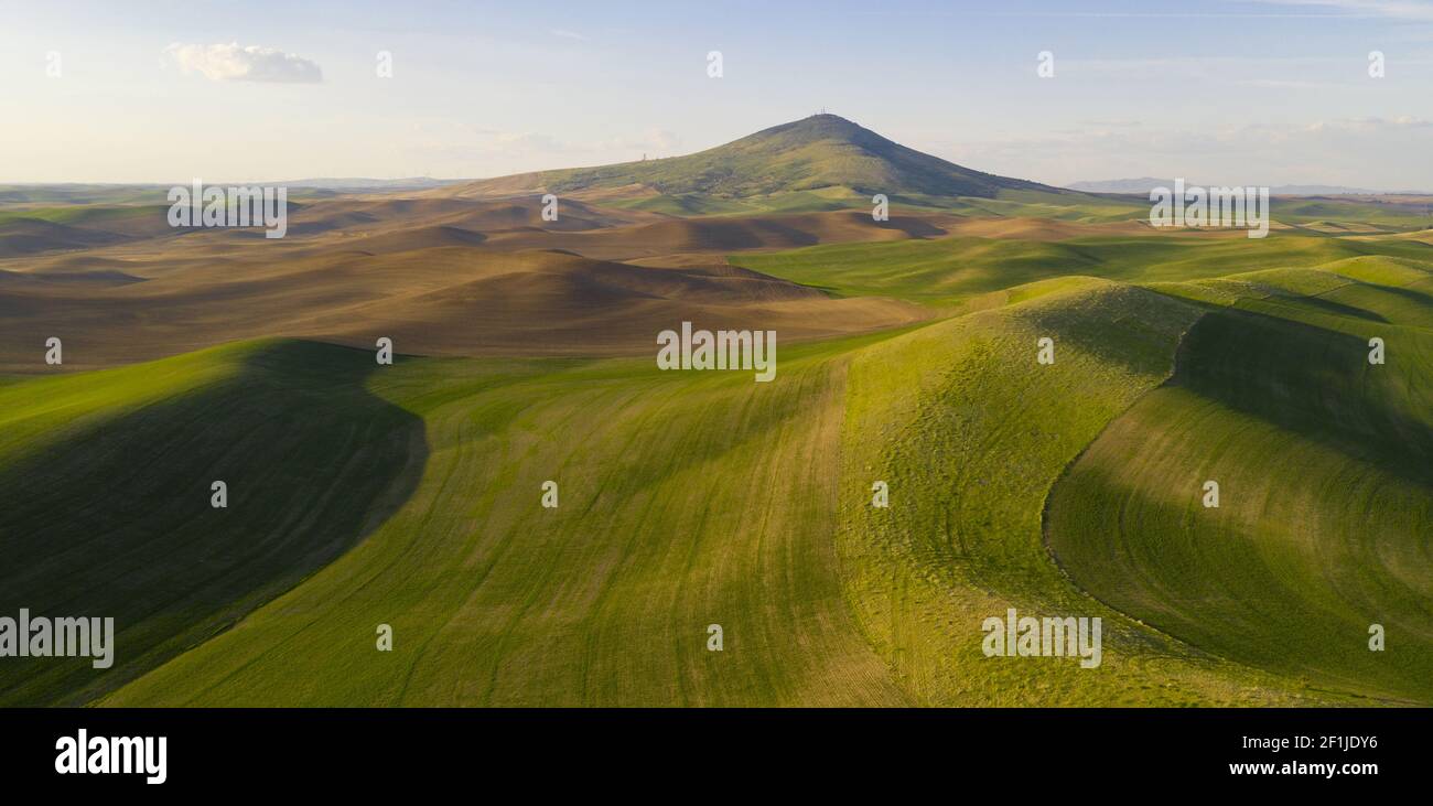 De longues ombres apparaissent en fin d'après-midi dans la région de la Palouse de Steptoe Butte Coucher de soleil Banque D'Images