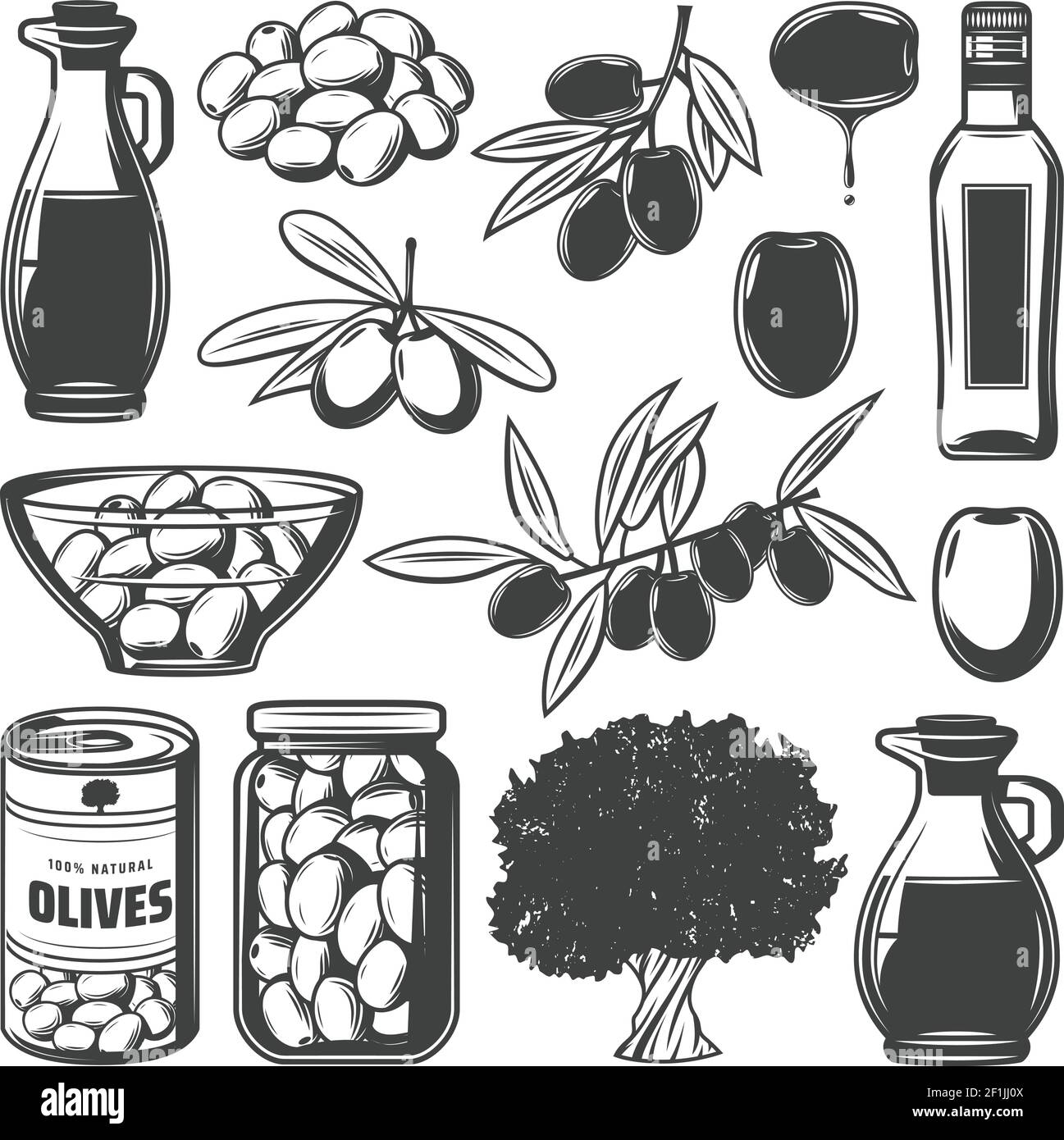 Collection d'olives naturelles vintage avec branches d'arbre boîte en verre illustration vectorielle isolée pour bouteille et verseuse Illustration de Vecteur
