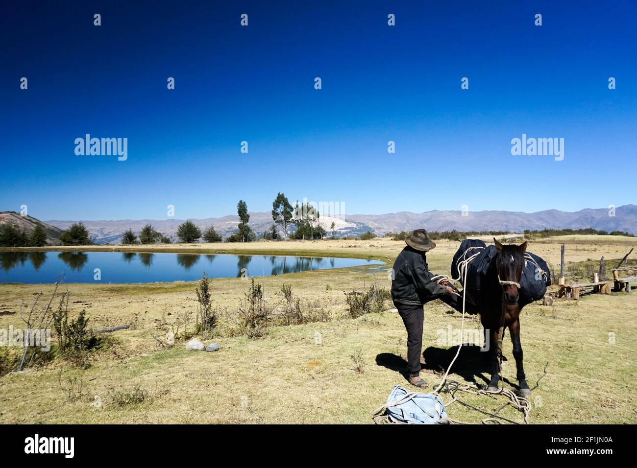 Ishinca Valley, Ancash / Pérou - 18. Juin 2016: Un muleskinner ou arriero local empaque et charge un donk Banque D'Images