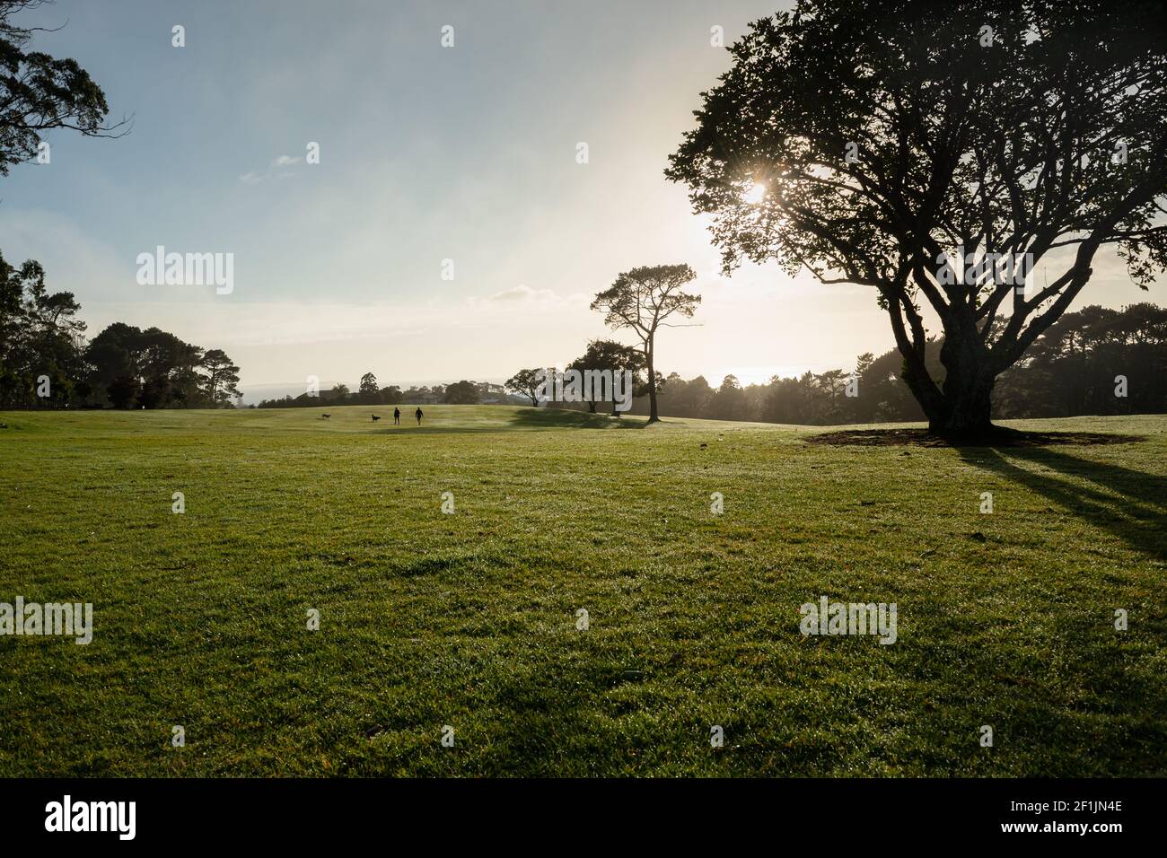 Image de silhouette de personnes marchant et de chiens courant sur le Parcours de golf North Shore au lever du soleil Banque D'Images