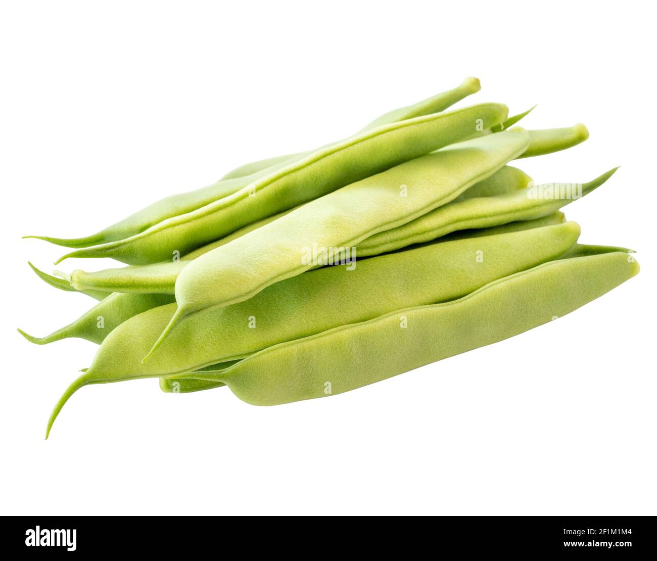 Haricots verts biologiques isolés sur fond blanc Banque D'Images