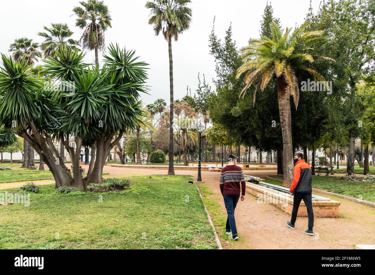 Photo de stock des adolescents portant des masques du visage à cause de l'envid19 à pied et à parler dans le parc. Banque D'Images