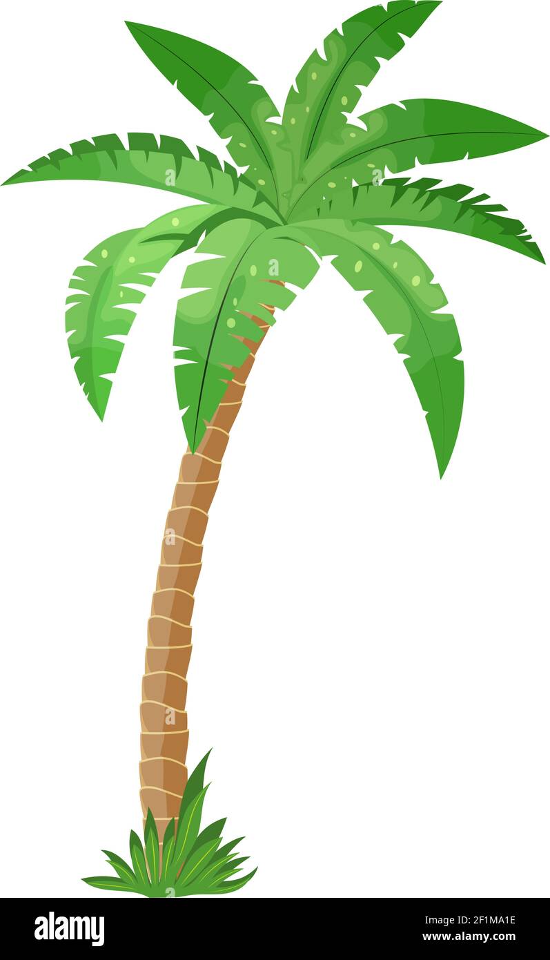 arbre realiste couleur banque d image et photos alamy