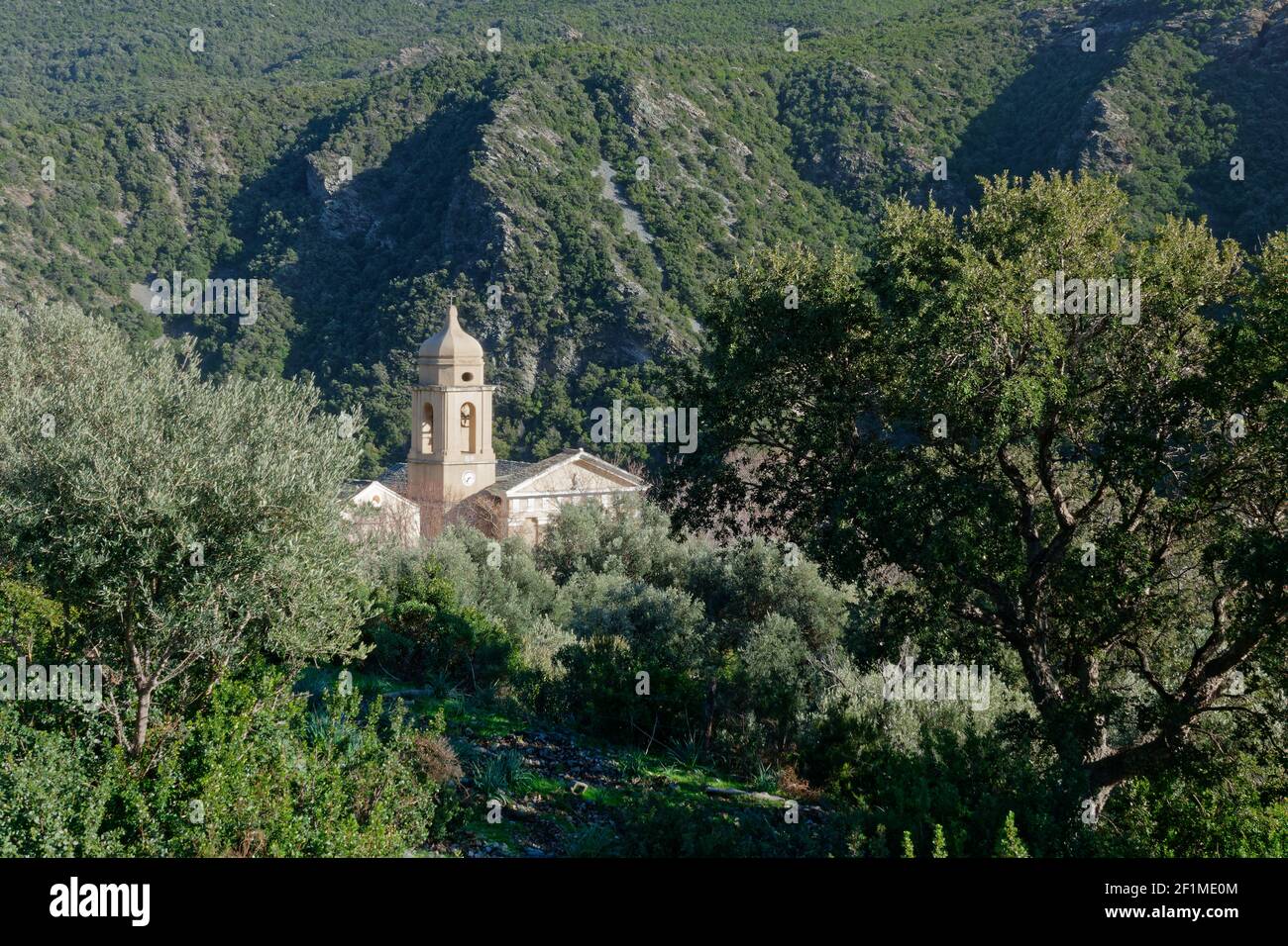 Église d'Olmeta au Cap Corse en Corse, France Banque D'Images