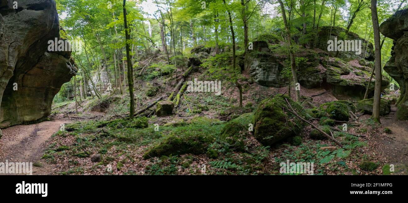 Forêt européenne verte sauvage et canyons de grès Banque D'Images