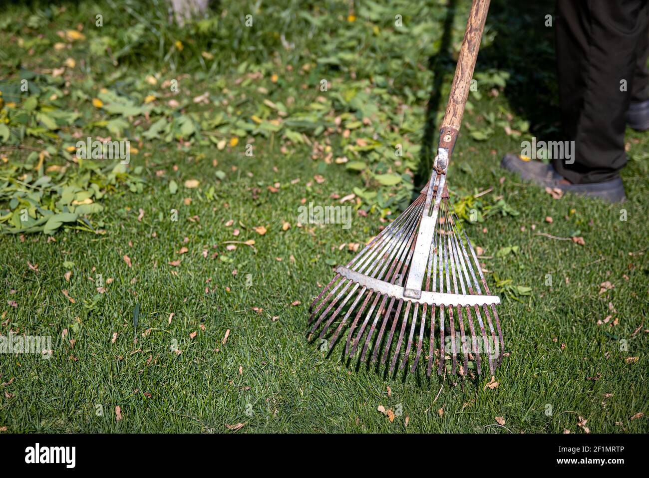 Peigne en métal dentelé pour le nettoyage du jardin. Soin du jardin Photo  Stock - Alamy