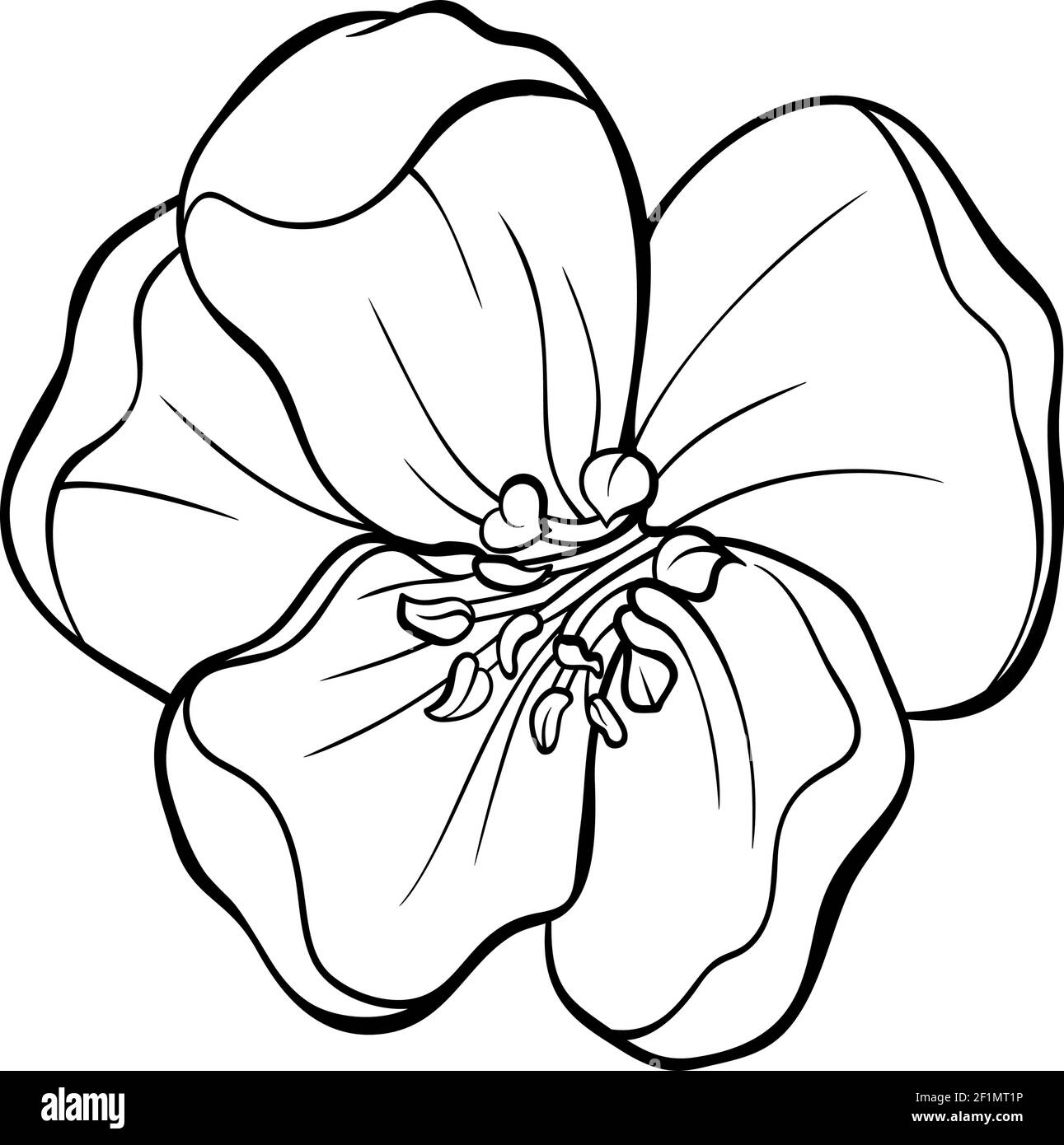 Dessin de contour de la tête de fleur de pommier japonais Illustration de Vecteur