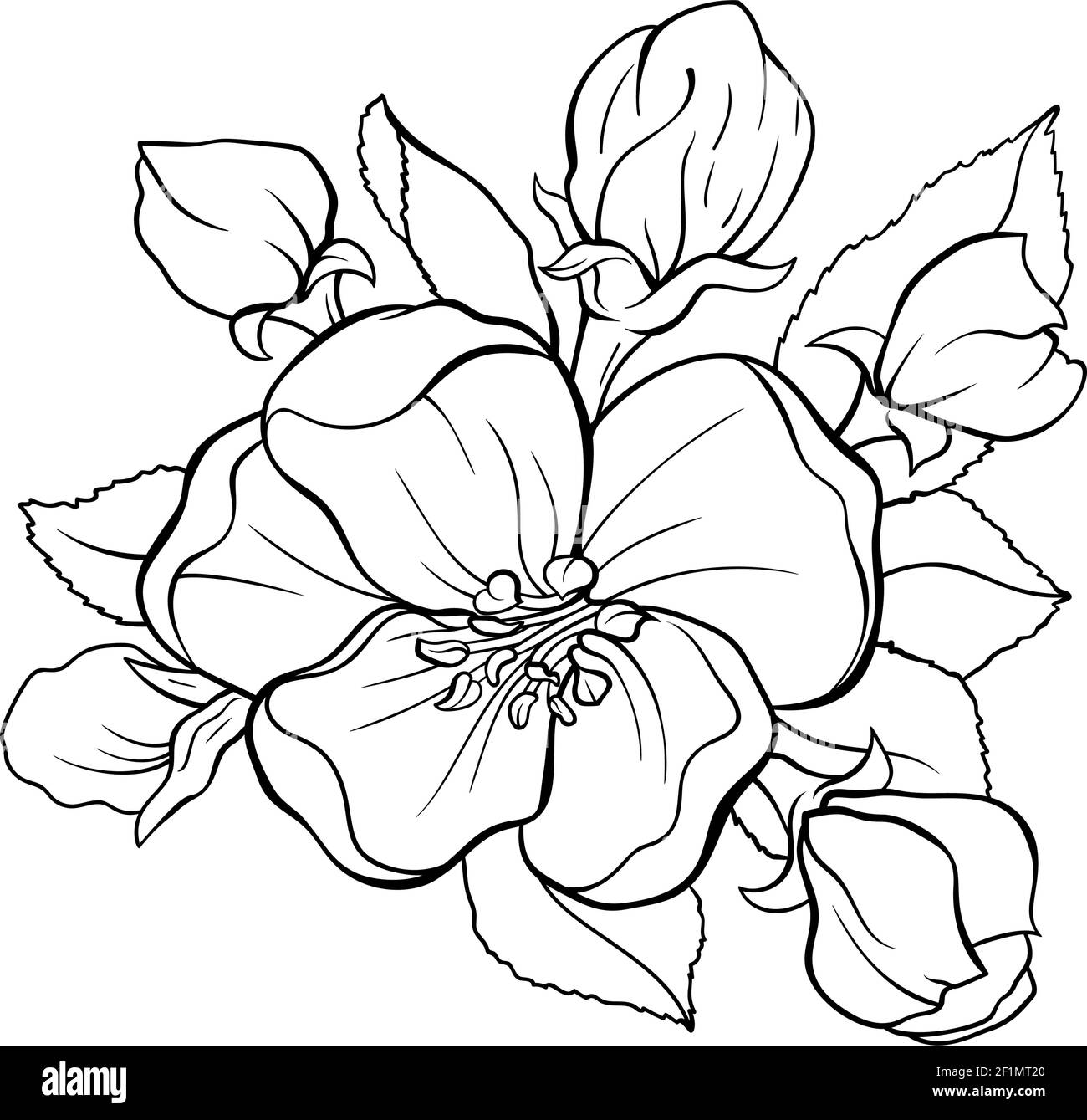Dessin de contour de bouquete de fleur de pommier japonais Illustration de Vecteur