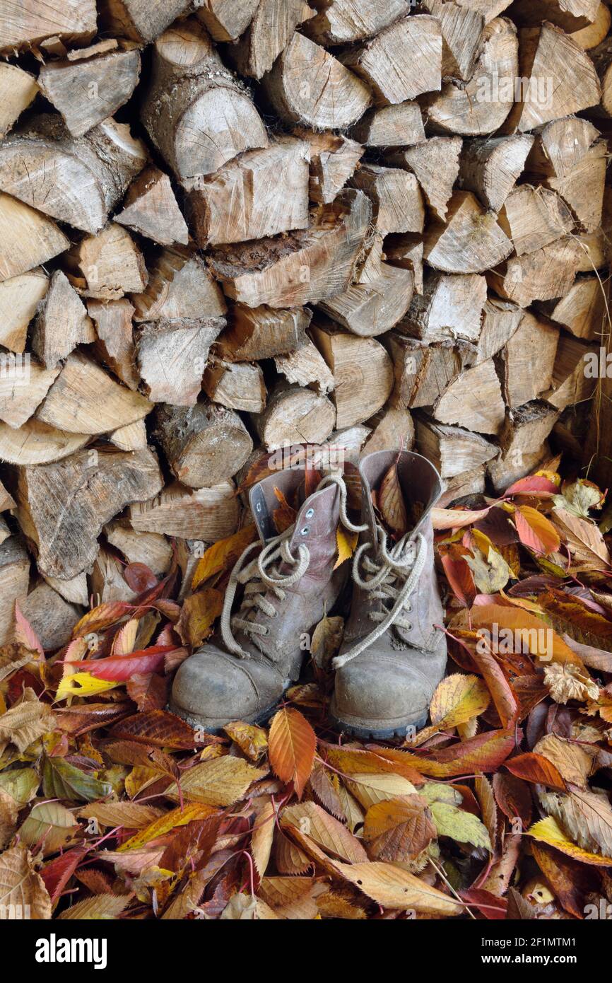 Vieilles bottes de travail dans un hangar en bois, sur un lit de feuilles d'automne tombées. Banque D'Images