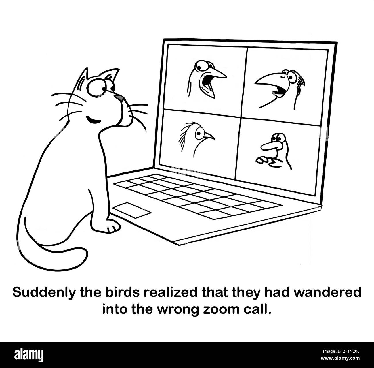 Quatre oiseaux assis sur le zoom appel avec chat. Banque D'Images