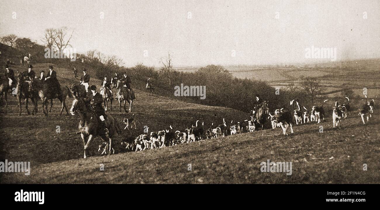 Une vieille photo de la presse des Cottsmore Fox Hounds près d'Oakham, en Angleterre. La chasse de Cottesmore, nommée d'après le village de Cottesmore où les chounds étaient des chasses de chenils principalement dans le comté de Rutland et est l'un des plus anciens paquets de foxlighter en Grande-Bretagne. Banque D'Images