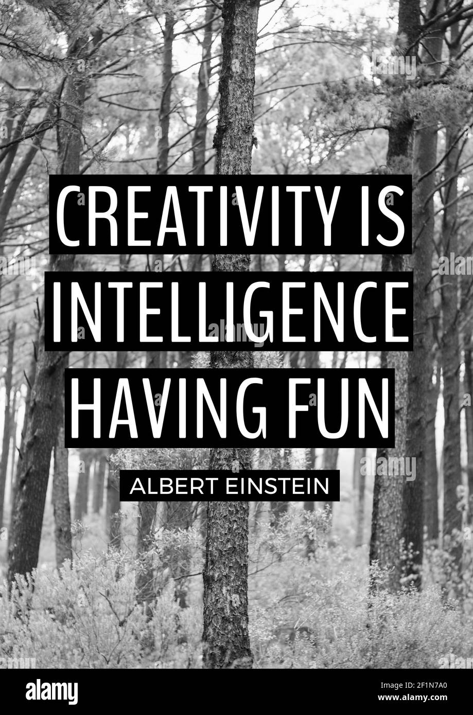 La Creativite Est L Intelligence Ayant Une Citation Amusante Par Albert Einstein Plus Foret Photo Stock Alamy