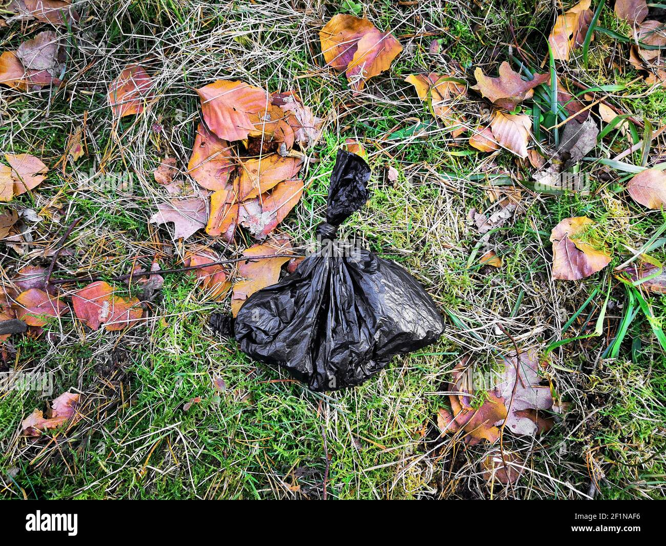 Excréments de chiens déposés dans un sac en plastique noir sur le côté de la route: Infraction environnementale Banque D'Images