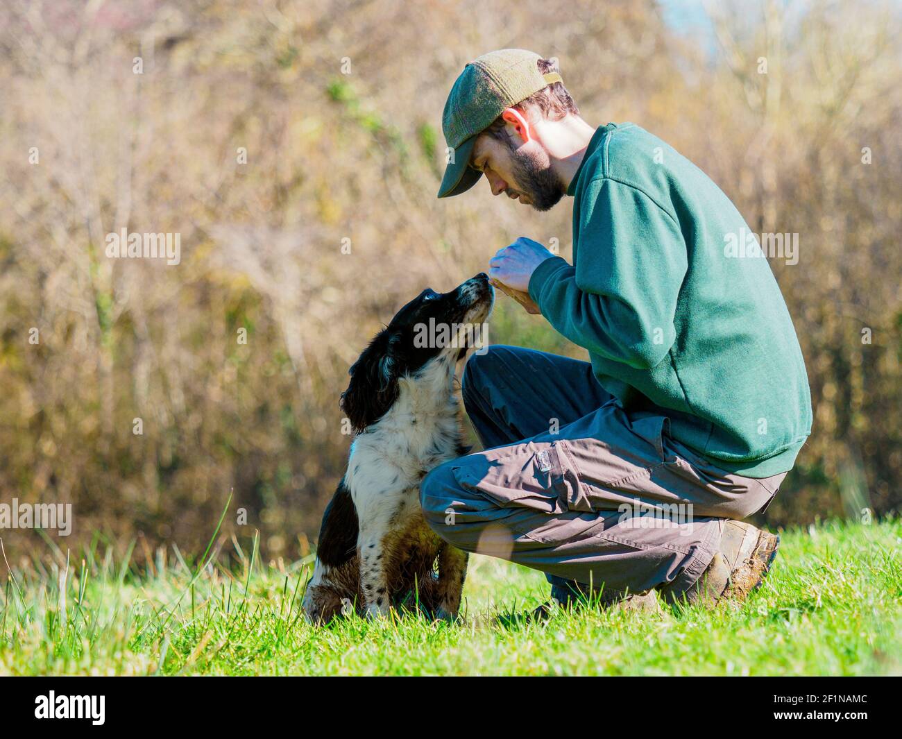 Relation entre l'homme et son chien, Royaume-Uni Banque D'Images