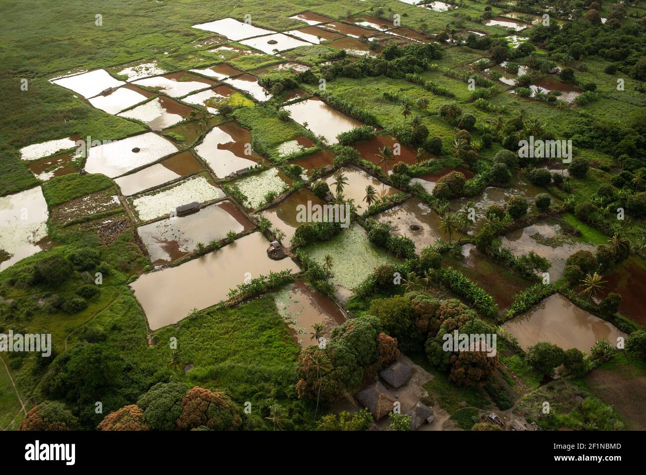 Tana River Delta au Kenya Banque D'Images