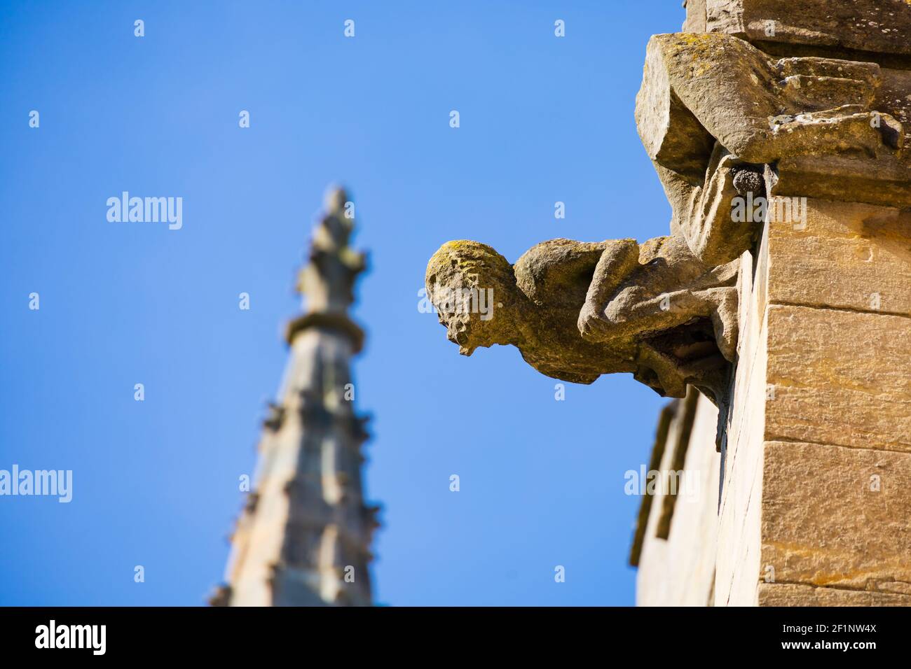 Gargoyle drainpipe sur le toit de l'église paroissiale St Wulframs. Grantham, Lincolnshire, Angleterre. Banque D'Images