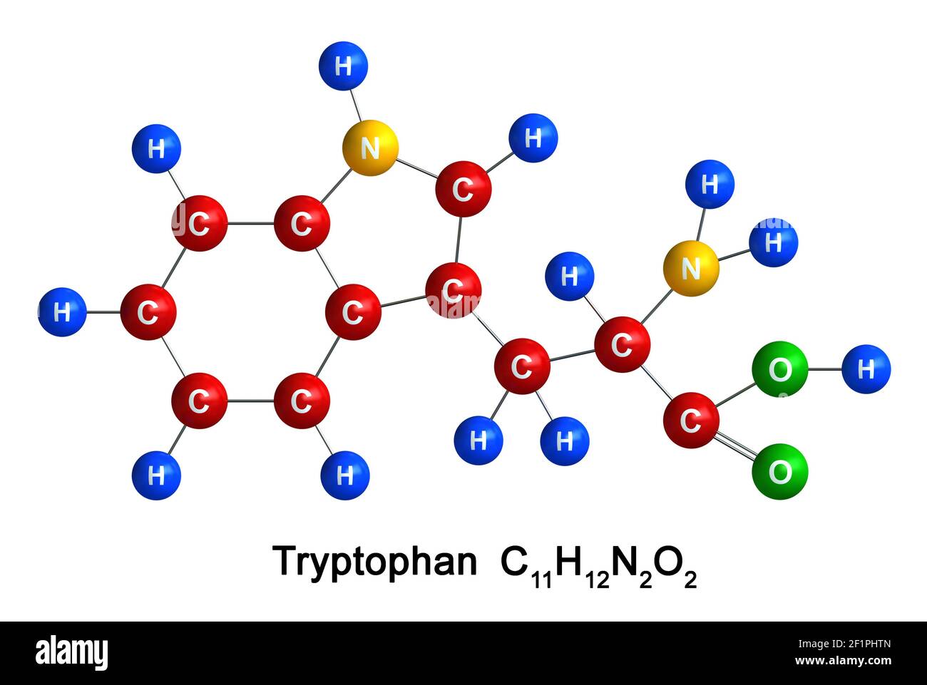 rendu 3d de la structure moléculaire du tryptophane isolé sur fond blanc. Les atomes sont représentés sous forme de sphères avec codage de couleur et de symboles chimiques Banque D'Images