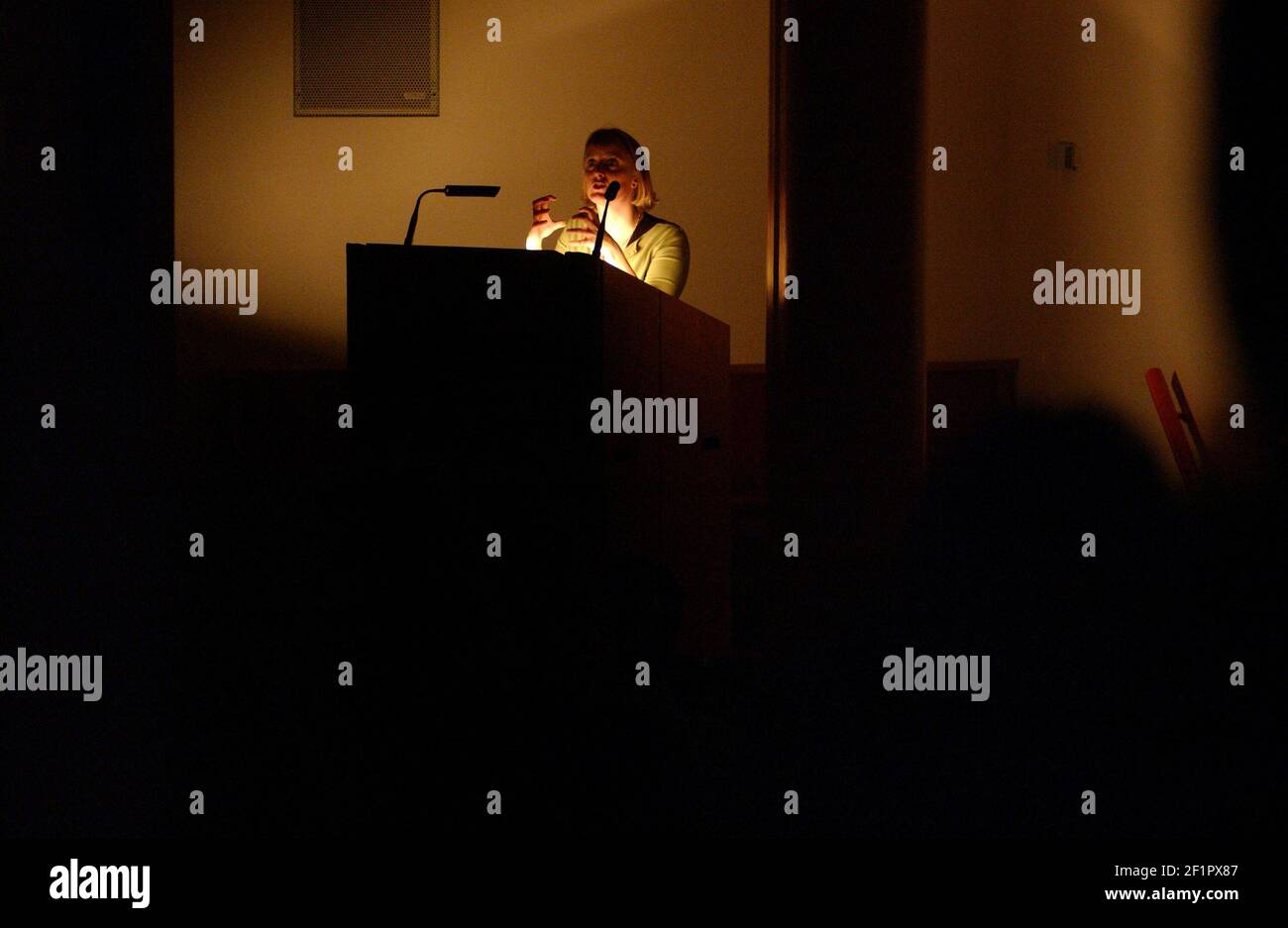 LA CONFÉRENCE DU VENDREDI AU TATE BRITAN, DONNÉE PAR LUCINDA HAWKSLEY SUR LIZZIE SIDDAL.3/12/04 PILSTON Banque D'Images LA CONFÉRENCE DU VENDREDI AU TATE BRITAN, DONNÉE PAR LUCINDA HAWKSLEY SUR LIZZIE SIDDAL.3/12/04 PILSTON Banque D'Images